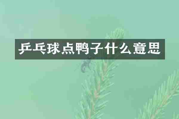 乒乓球点鸭子什么意思