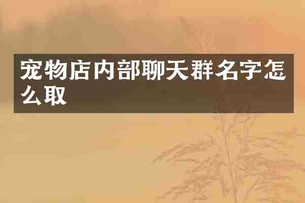 宠物店内部聊天群名字怎么取