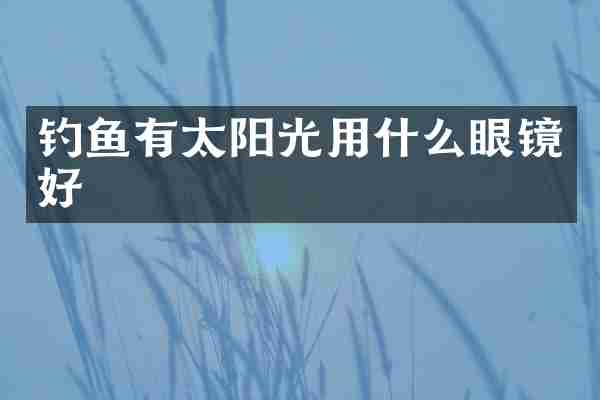 钓鱼有太阳光用什么眼镜好