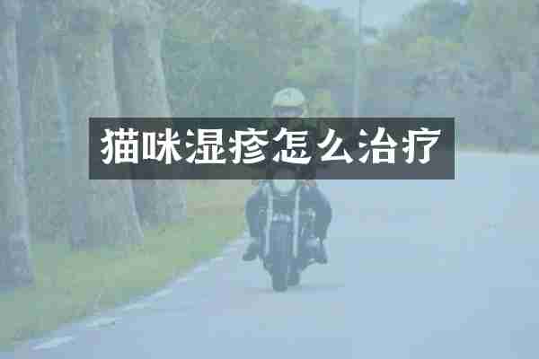 猫咪湿疹怎么治疗