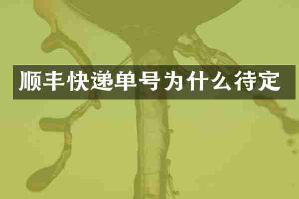 顺丰快递单号为什么待定