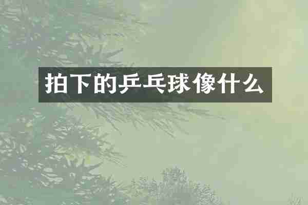 拍下的乒乓球像什么