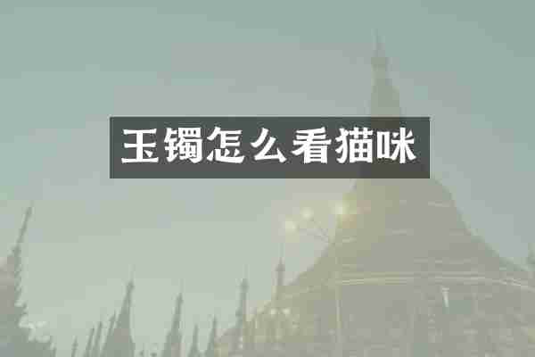 玉镯怎么看猫咪