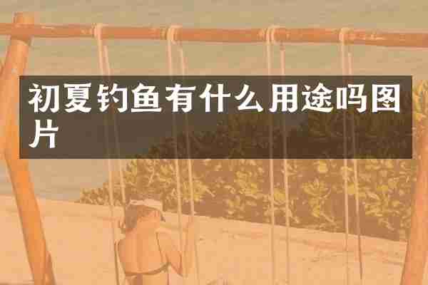 初夏钓鱼有什么用途吗图片