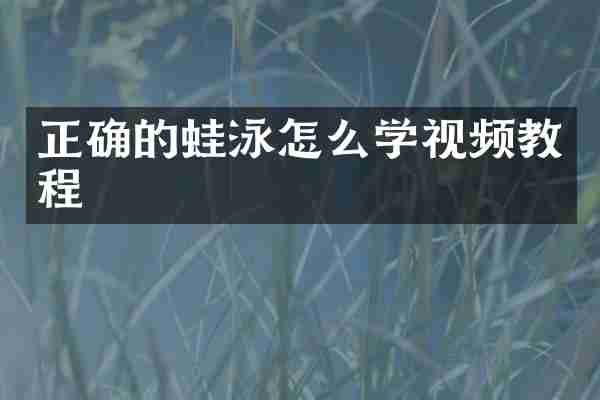 正确的蛙泳怎么学视频教程