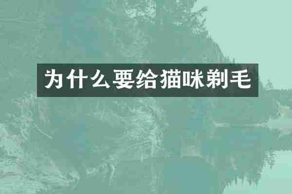 为什么要给猫咪剃毛