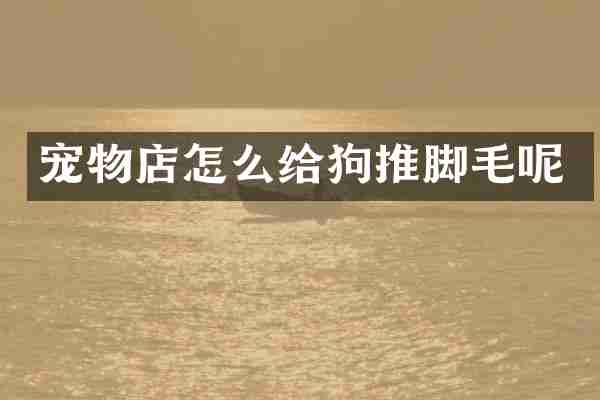 宠物店怎么给狗推脚毛呢