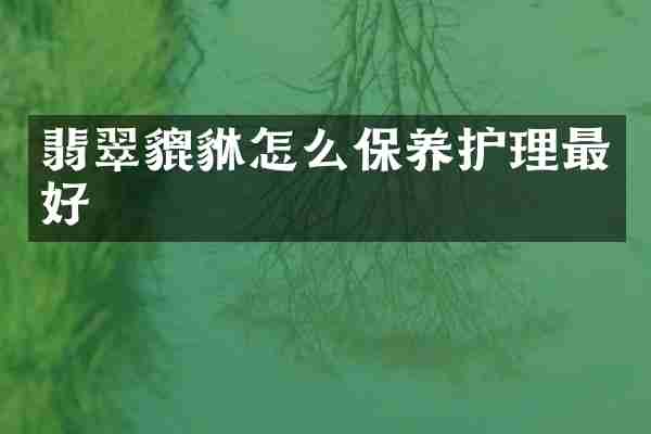 翡翠貔貅怎么保养护理最好