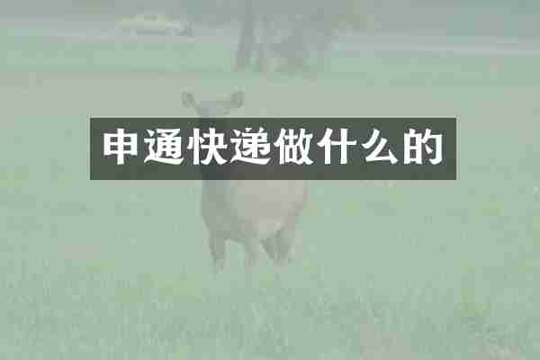 申通快递做什么的