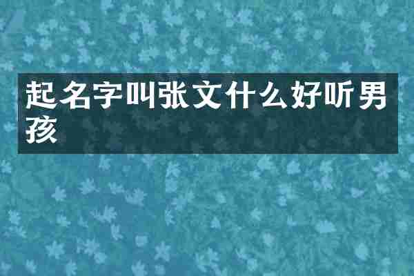起名字叫张文什么好听男孩