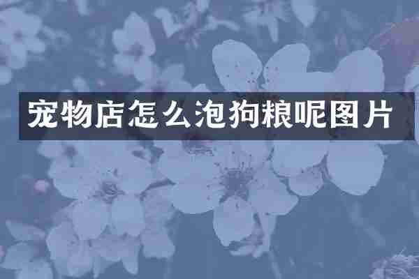 宠物店怎么泡狗粮呢图片