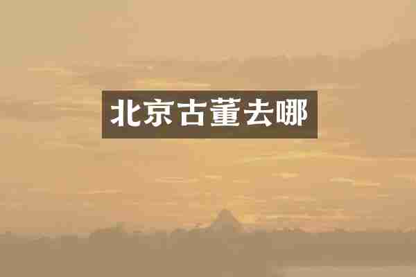 北京古董去哪