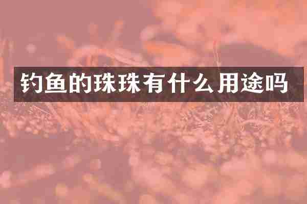 钓鱼的珠珠有什么用途吗