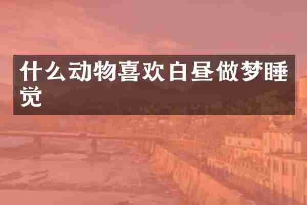 什么动物喜欢白昼做梦睡觉