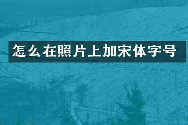 怎么在照片上加宋体字号