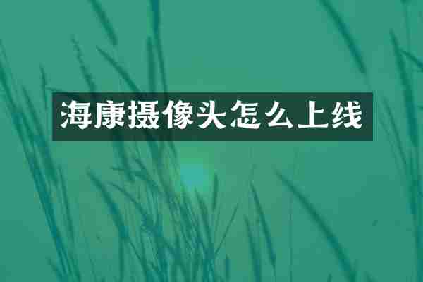 海康摄像头怎么上线