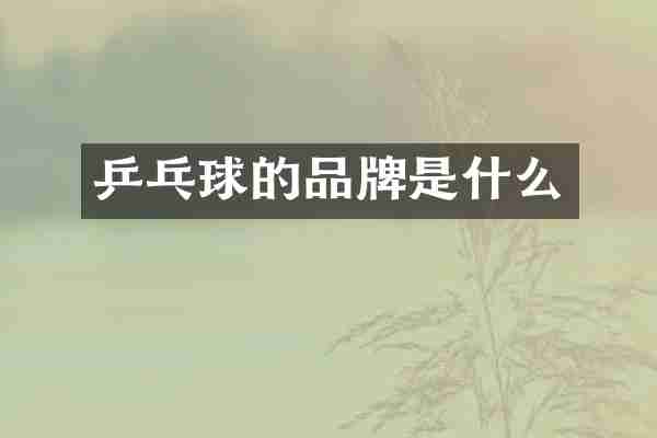 乒乓球的品牌是什么