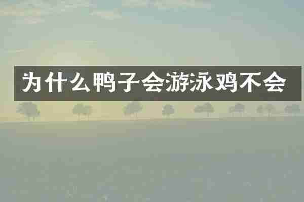 为什么鸭子会游泳鸡不会