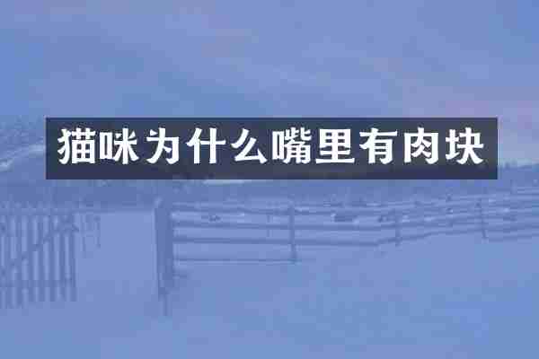 猫咪为什么嘴里有肉块