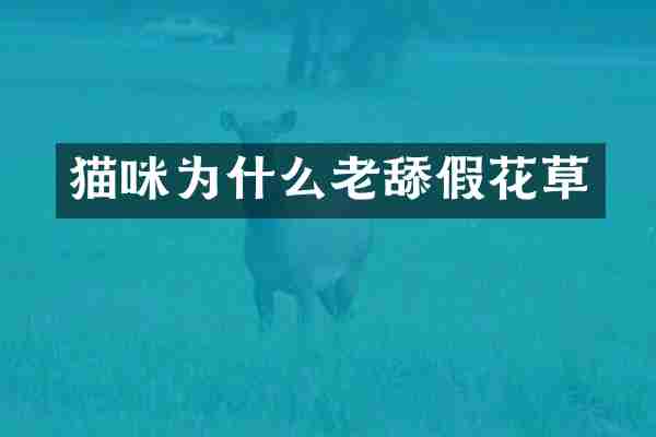 猫咪为什么老舔假花草
