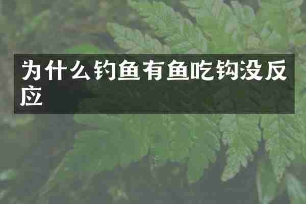 为什么钓鱼有鱼吃钩没反应