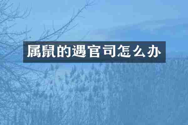 属鼠的遇官司怎么办