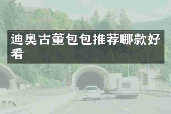 迪奥古董包包推荐哪款好看