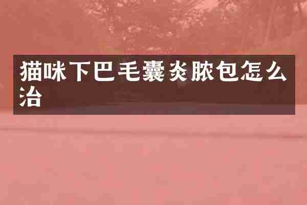 猫咪下巴毛囊炎脓包怎么治