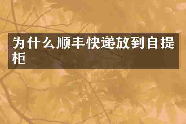 为什么顺丰快递放到自提柜