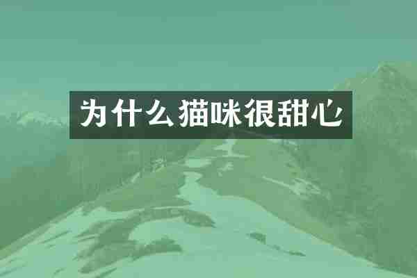 为什么猫咪很甜心