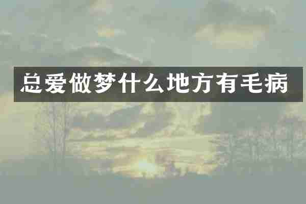 总爱做梦什么地方有毛病