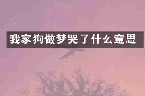 我家狗做梦哭了什么意思