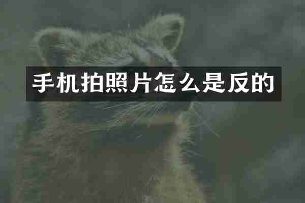 手机拍照片怎么是反的
