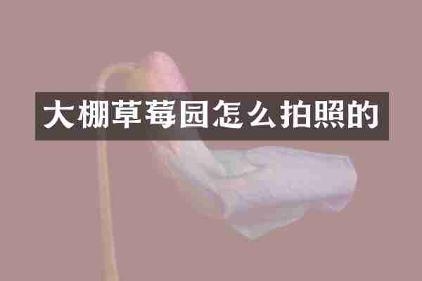 大棚草莓园怎么拍照的