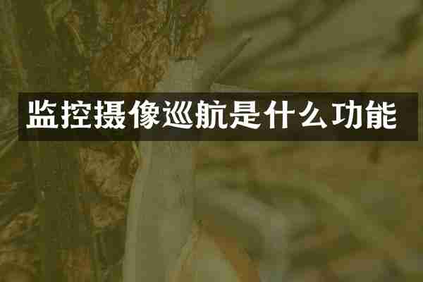 监控摄像巡航是什么功能
