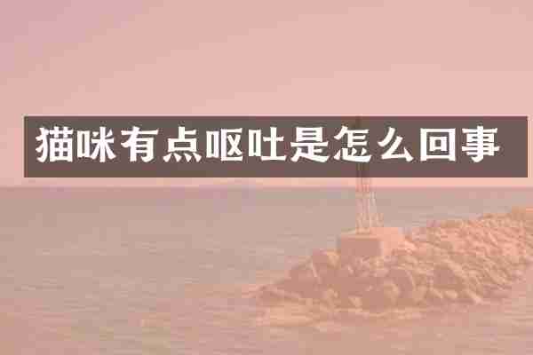 猫咪有点呕吐是怎么回事