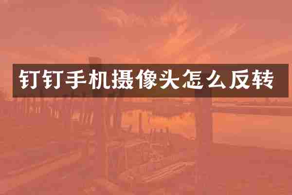 钉钉手机摄像头怎么反转