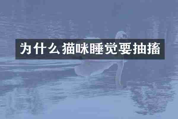 为什么猫咪睡觉要抽搐