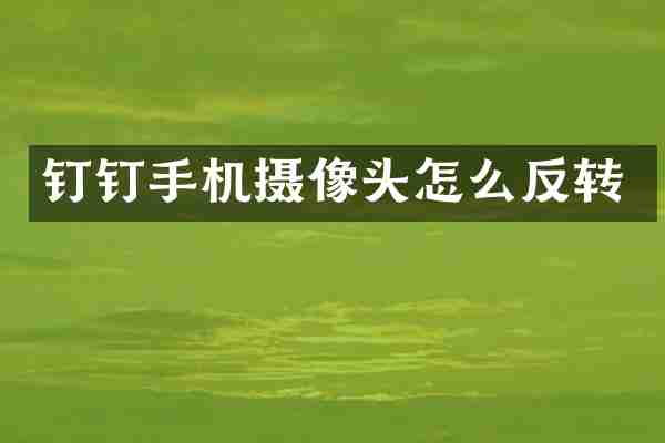 钉钉手机摄像头怎么反转