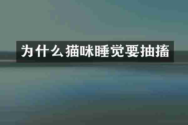 为什么猫咪睡觉要抽搐