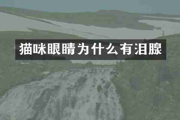 猫咪眼睛为什么有泪腺