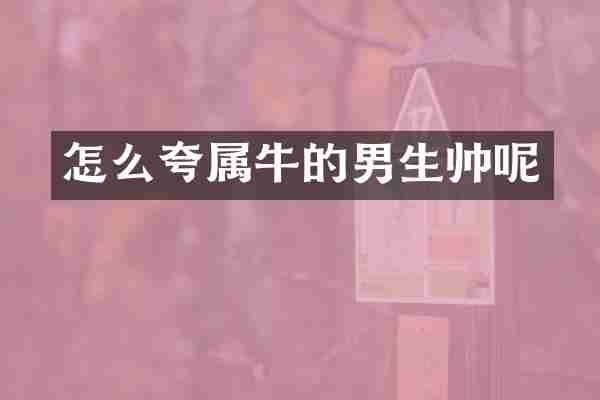 怎么夸属牛的男生帅呢