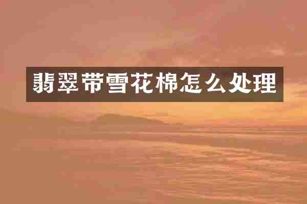 翡翠带雪花棉怎么处理