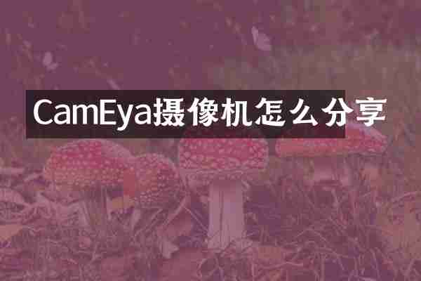 CamEya摄像机怎么分享