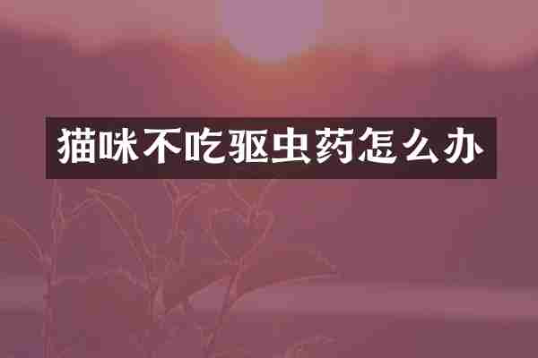 猫咪不吃驱虫药怎么办