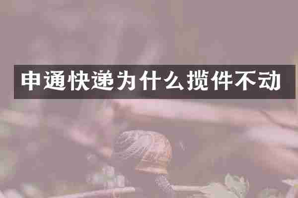 申通快递为什么揽件不动
