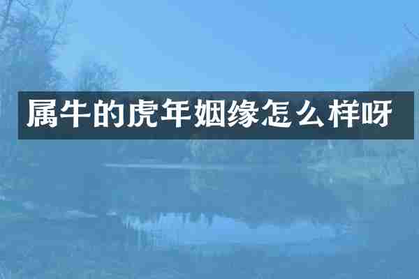 属牛的虎年姻缘怎么样呀