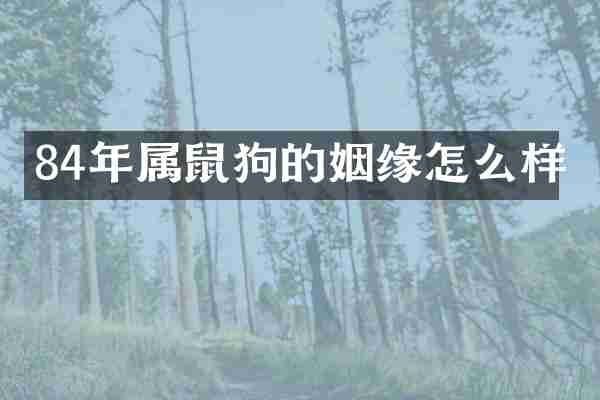84年属鼠狗的姻缘怎么样