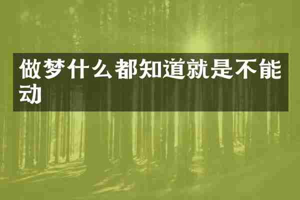 做梦什么都知道就是不能动