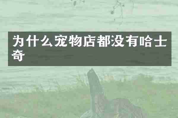 为什么宠物店都没有哈士奇